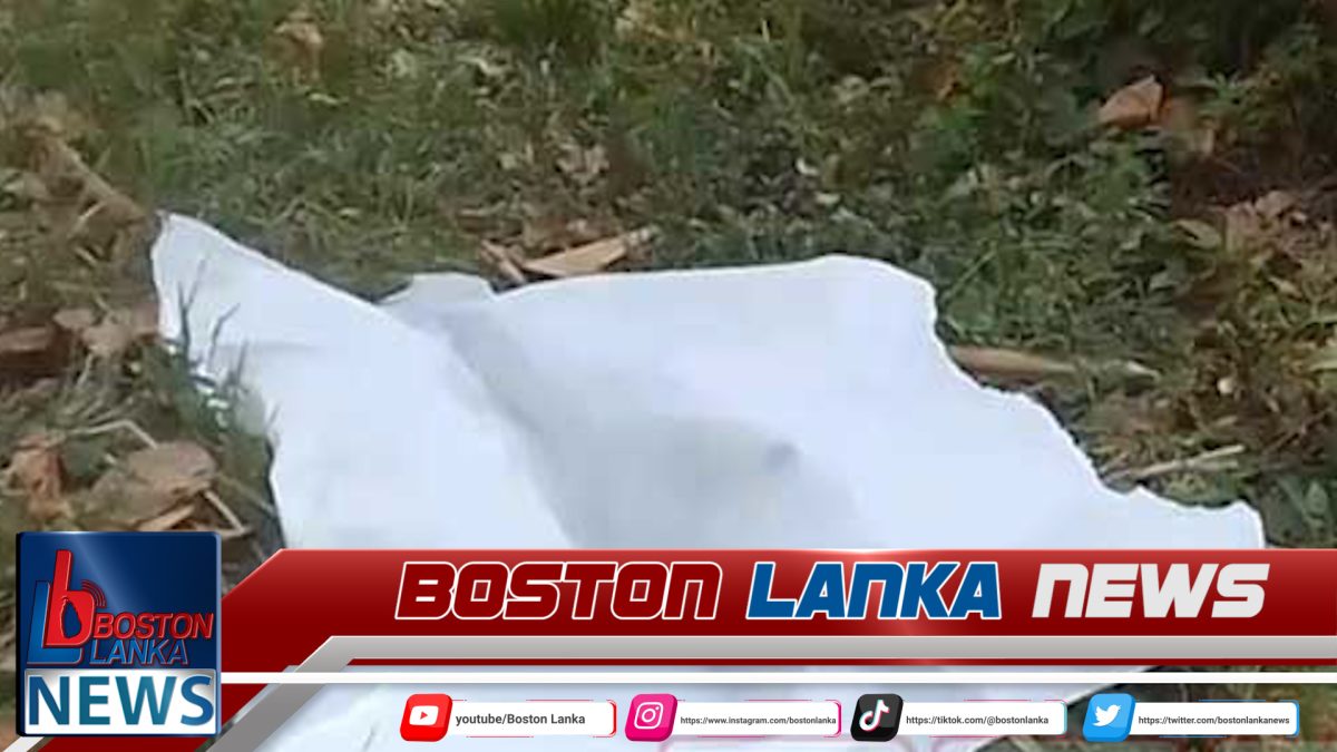 තමන්ගේම ගිනි අවිය පත්තු වී තිදරු පියා මරුට….