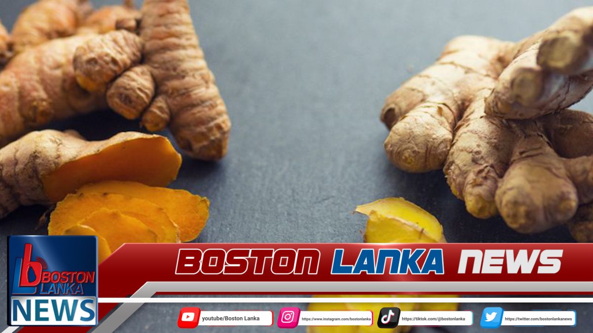 කහ සහ ඉඟුරු වගාවන්ට විශේෂ රක්ෂණ යෝජනා ක්‍රමයක්….