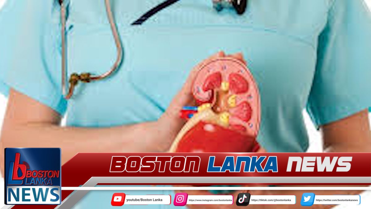 දෛනිකව වකුගඩු රෝගීන් පස්දෙනෙකුට දිවි අහිමිවීමේ අවදානමක්….