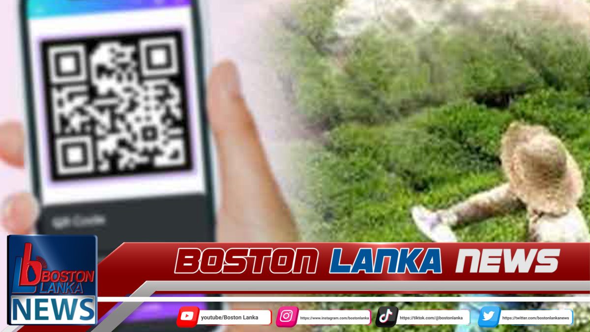 රුපියල් මිලියන 200ක තේ පොහොර සහනාධාරයට QR කේතයක් එයි….