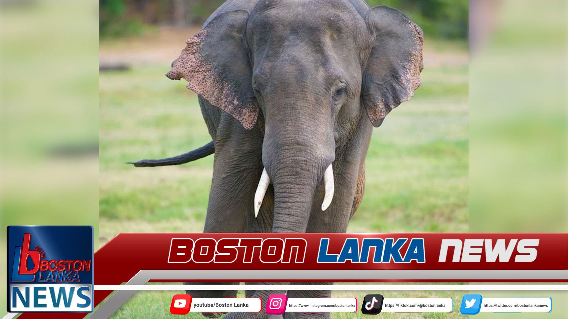 News Iamges.00_00_00_00.Still656