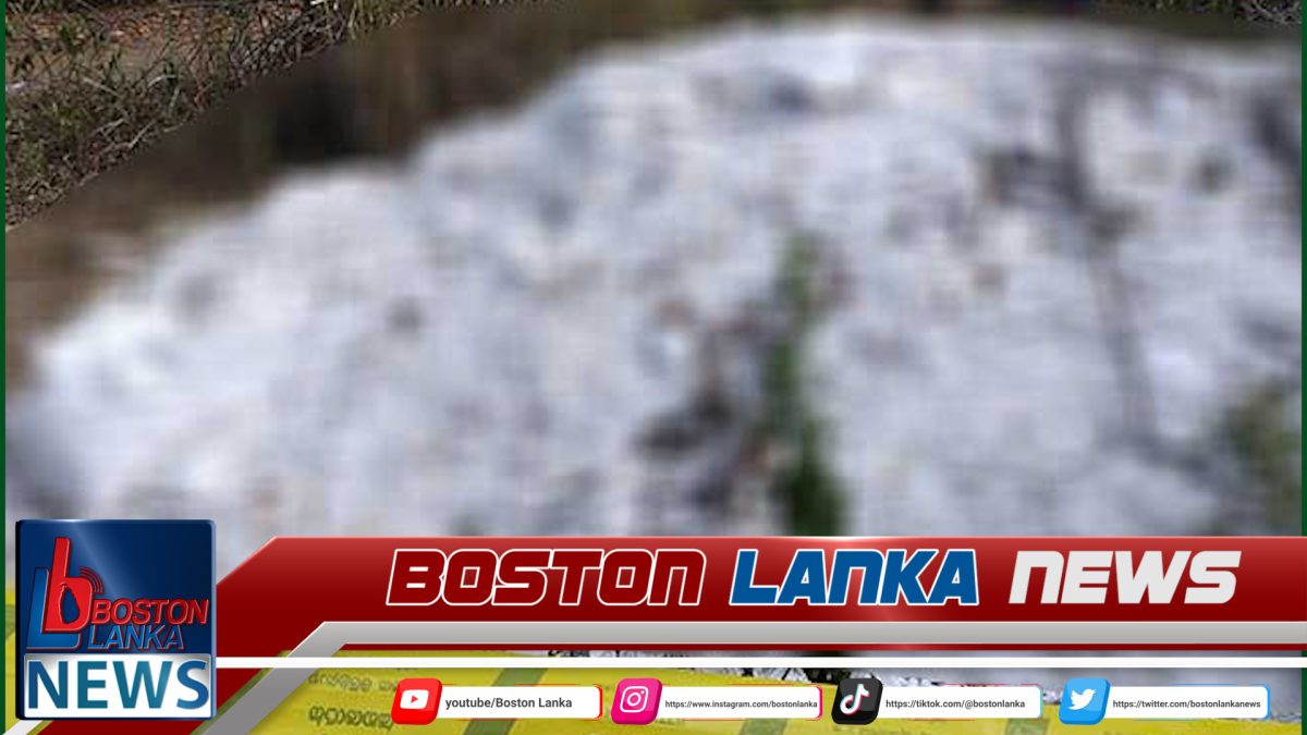 අයිස් මත්ද්‍රව්‍ය නිෂ්පාදනයට ගන්නා බවට සැක රසායන ද්‍රව්‍ය තොගයක් – තංගල්ලේ ඉඩමකින් හමුවෙයි….