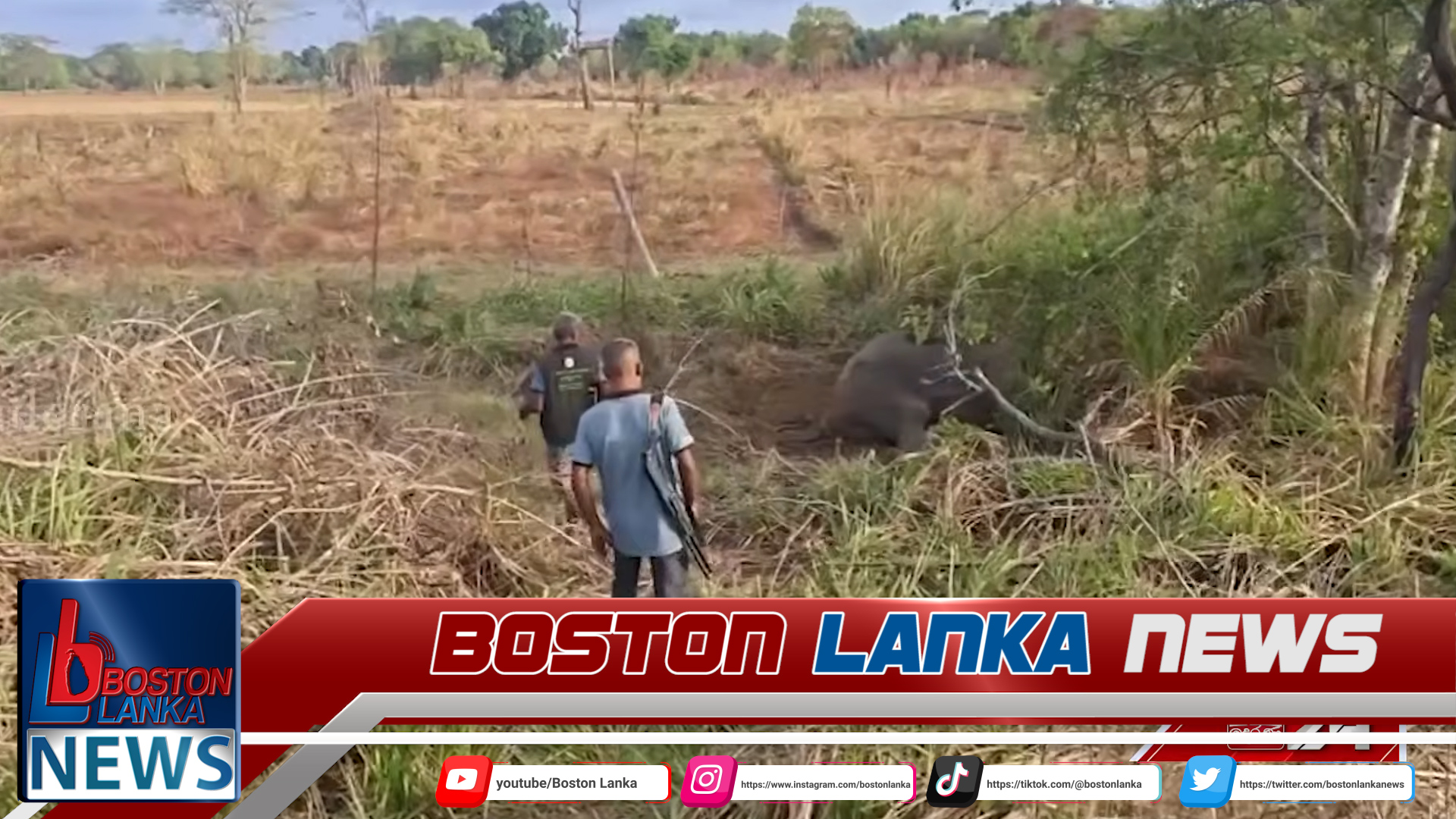 News Iamges.00_00_01_22.Still483