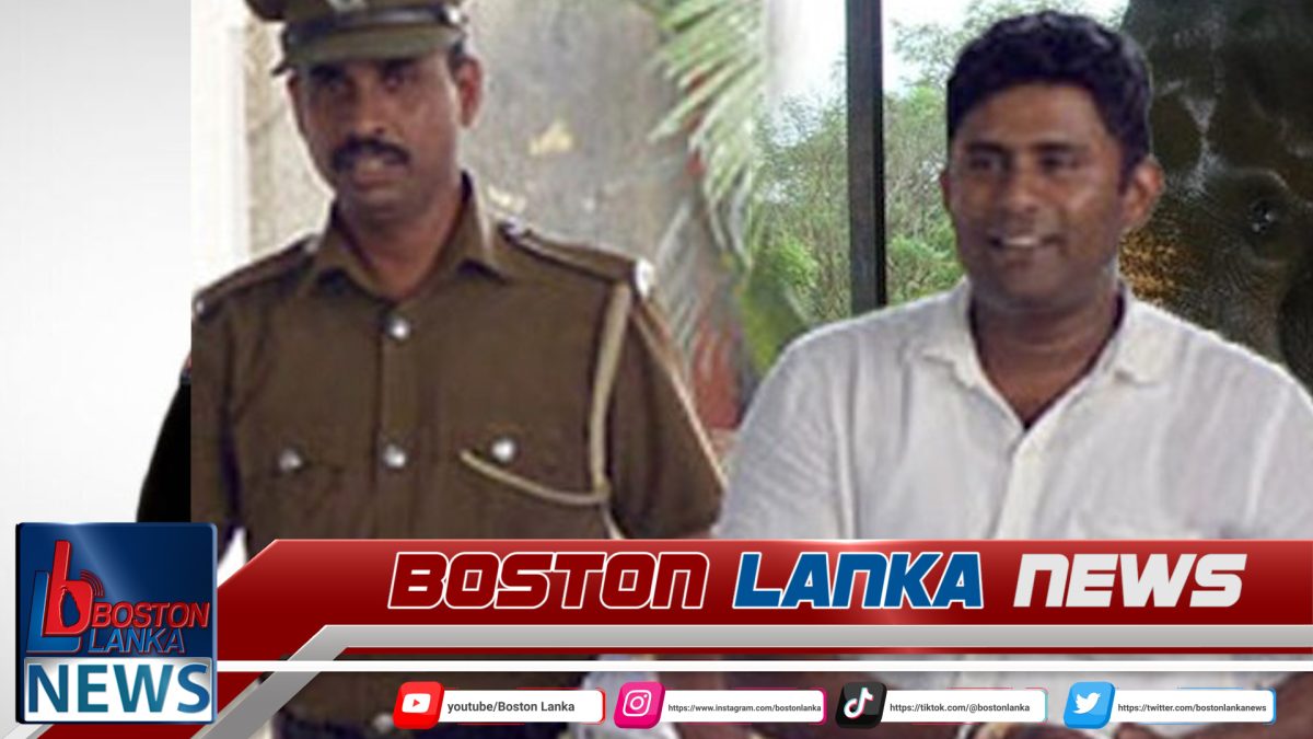 අලි රොෂාන්ට වසර පහළවක සිරදඬුවම්….