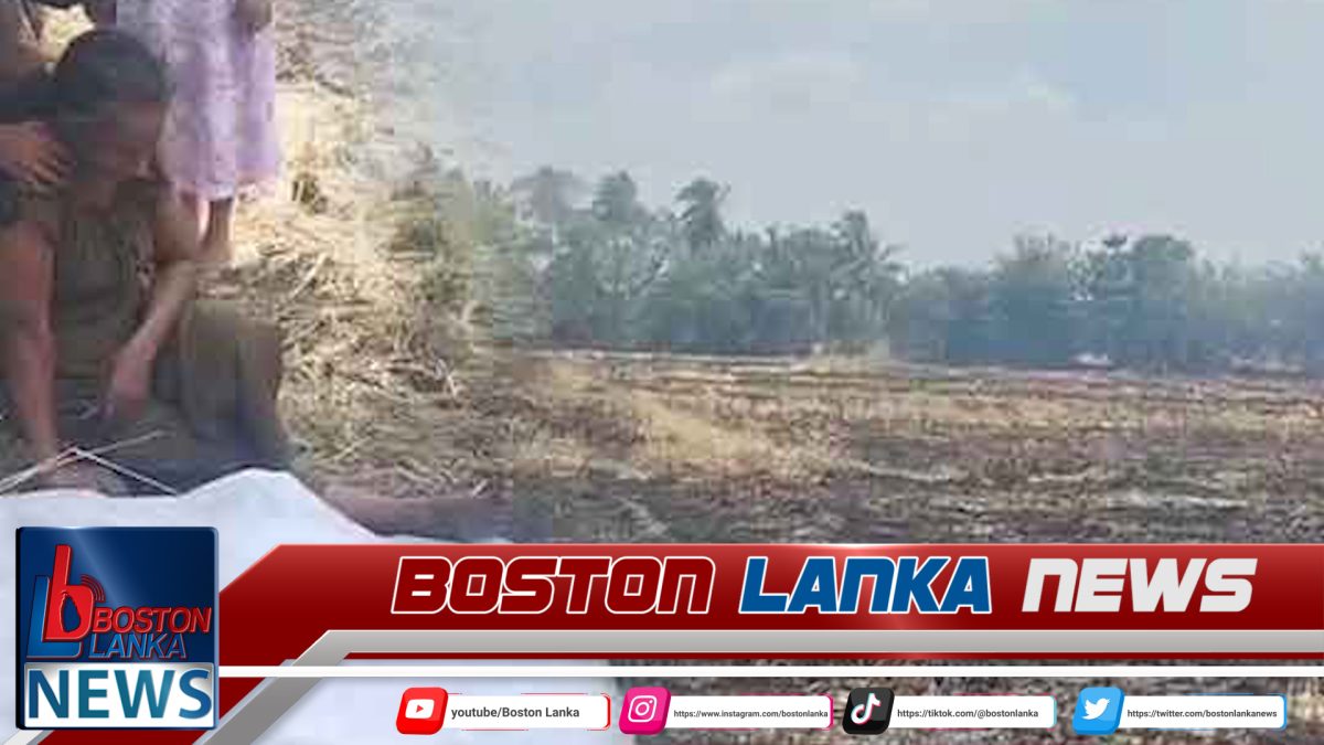 තම කුඹුරේ පිදුරුවලට ගිනිතැබූ ගොවි මහතෙකු එම ගින්නටම හසුවෙයි….