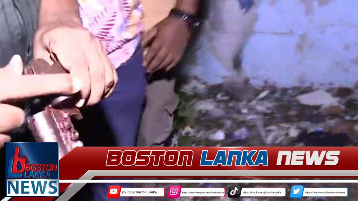 දෙමටගොඩ පාළු නිවසක තිබී ආයුධ කිහිපයක් සොයා ගනී….