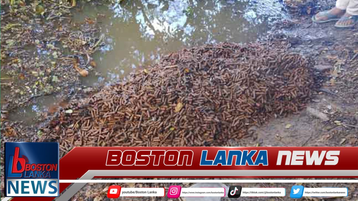 පාසලක් අසල තිබී උණ්ඩ තොගයක් හමුවෙයි….
