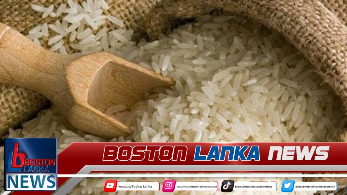 කීරි සම්බා හිඟයට විසඳුමක් ලෙස පොන්නි සම්බා ගෙනෙයි….