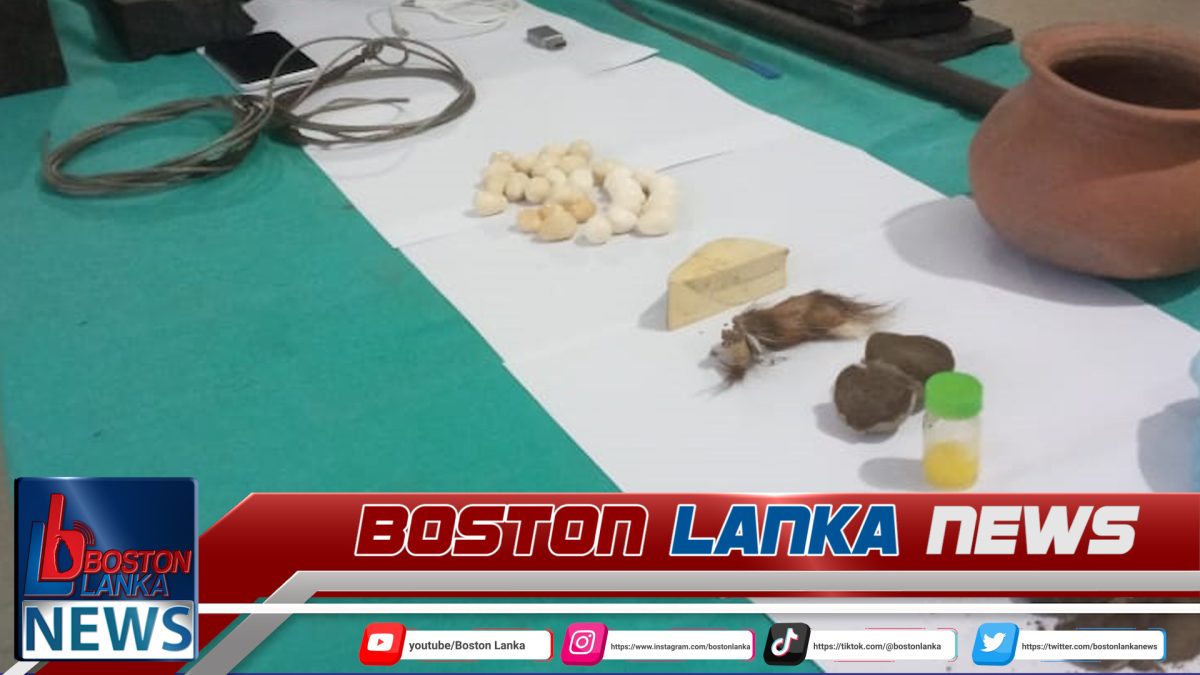 දිවයිනේ මෙතක් එකවර අත්අඩංගුවට ගත් විශාලතම ගජමුතු තොගය.සමග ඒවා කෝටි 30කට අලෙවි කිරීමට ගිය සැකකරුවකු වනජීවී නිලධාරීන්ගේ අත්අඩංගුවට.