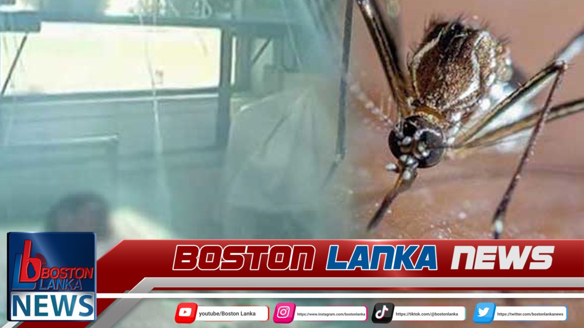 වසරේ ගතවූ කාලය තුළ මෙරටින් මැලේරියා රෝගීන් 35ක්…..