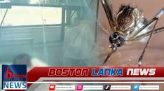 News Iamges.00_00_00_08.Still856