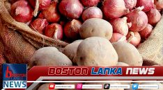 News Iamges.00_00_00_08.Still887