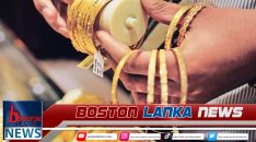 News Iamges.00_00_00_08.Still894