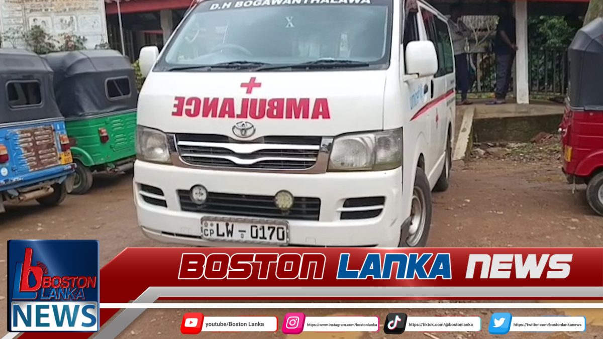 බඹරු දෂ්ට කිරීමෙන් පසු බගවන්තලාව වතු සේවකයන් හය දෙනෙකු රෝහල් ගත කර ඇත.