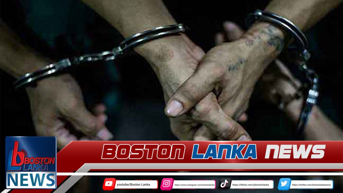 පුරාවස්තු සෙවීමේ අරමුණින් කැණීම් කළ පිරිසක් අත්අඩංගුවට….