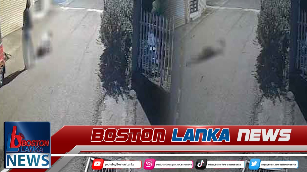 කොටහේනේ ඝාතනයට තවත් දෙදෙනෙකු අත්අඩංගුවට……