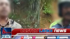 News Iamges.00_00_00_03.Still1191