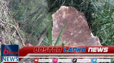 News Iamges.00_00_01_12.Still1178