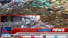 News Iamges.00_00_01_22.Still1064