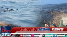 News Iamges.00_00_03_20.Still1097