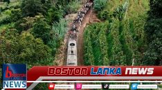 News Iamges.00_00_03_20.Still1151