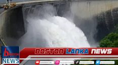 News Iamges.00_00_03_20.Still1156