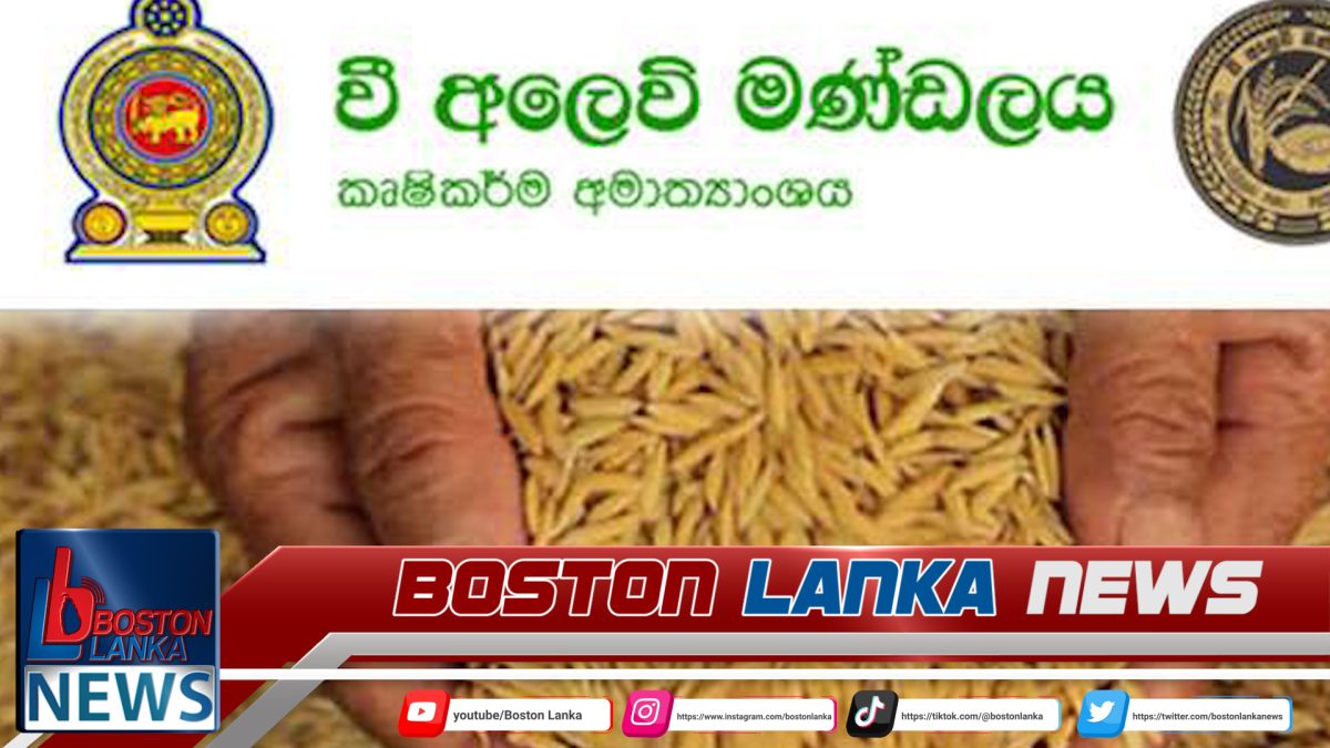 වී අලෙවි මණ්ඩලය සතු වී තොග සහල් කර වෙළෙඳපොළට මුදාහැරීමට අනුමැතිය….