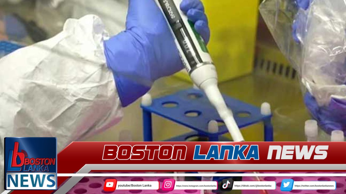 නීපා ගැන අනියත බියක් එපා – මෙරට සෞඛ්‍ය අංශ අවධානයෙන්…..