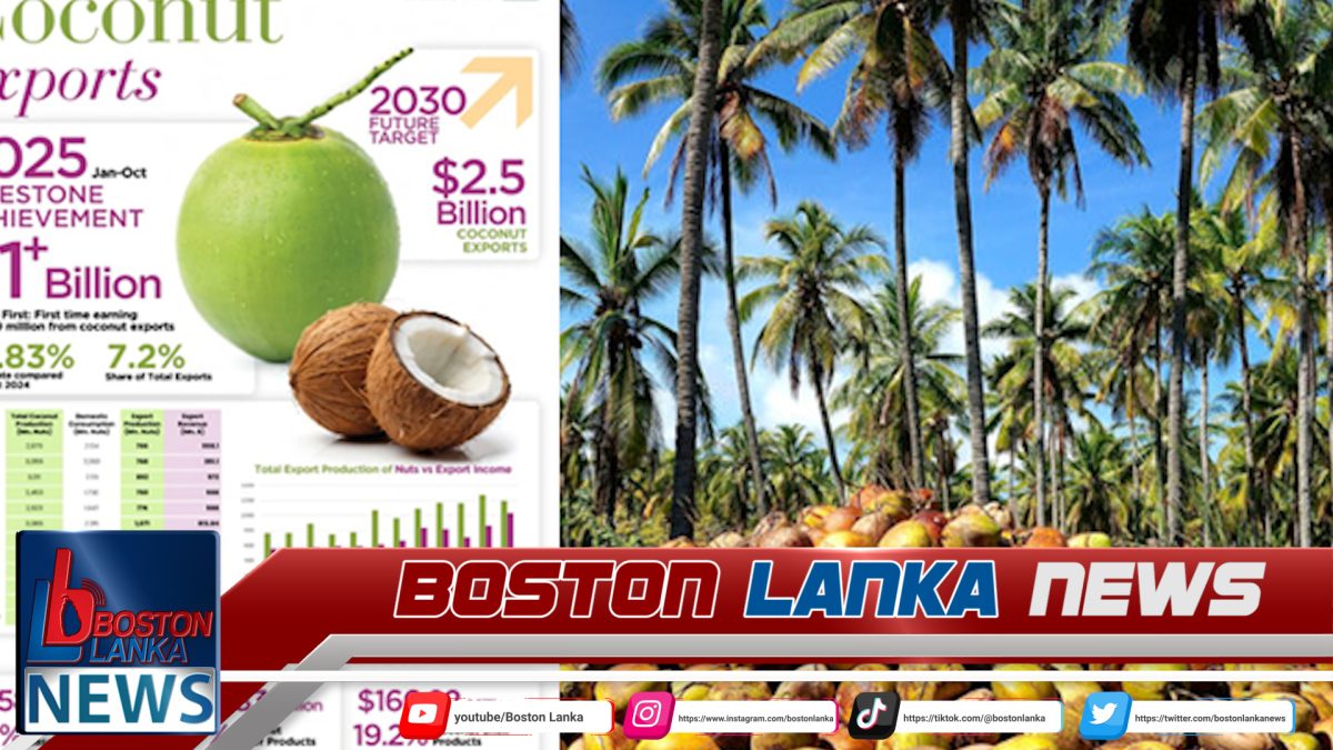 පොල් අපනයන ආදායම අමෙරිකානු ඩොලර් බිලියනය පනී