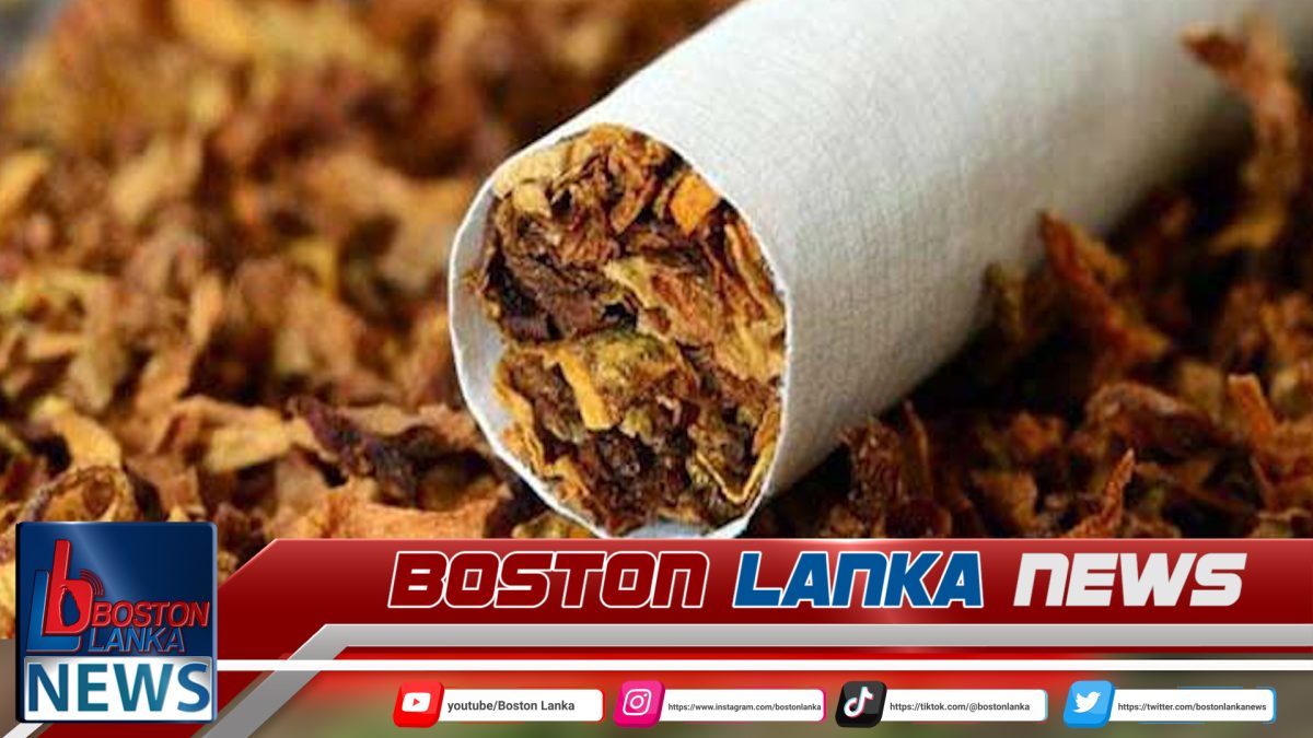 දුම්කොළ සහ දුම්වැටි හේතුවෙන් වසරකට ශ්‍රී ලංකාවේ මරණ 22,000ක්….