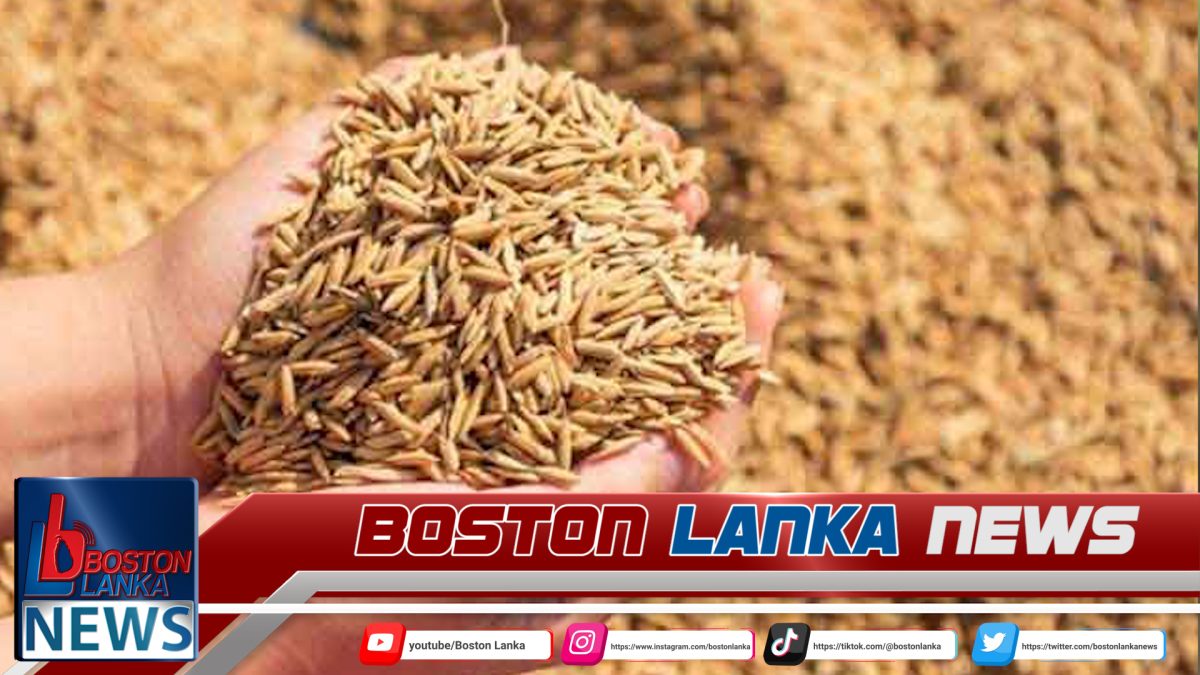 බිත්තර වී නිෂ්පාදන ගොවිපළවල් රක්ෂණය කිරීම ආරම්භ කෙරේ…..