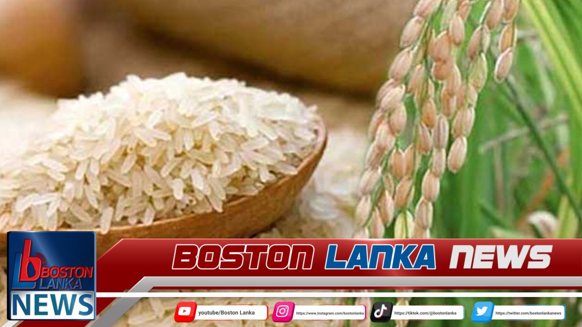 සම්බා සහ කීරි සම්බා වී මිලදී ගැනීමේ අවම මිල ඉහළට…..