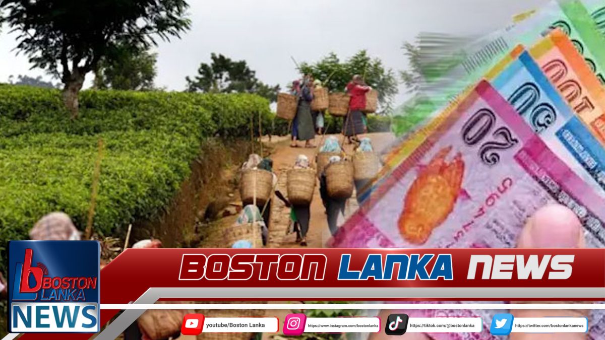වතු සේවක වැටුප ගැන කැබිනට් මණ්ඩලයෙන් තීරණයක්….