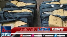 News Iamges.00_00_00_00.Still1518