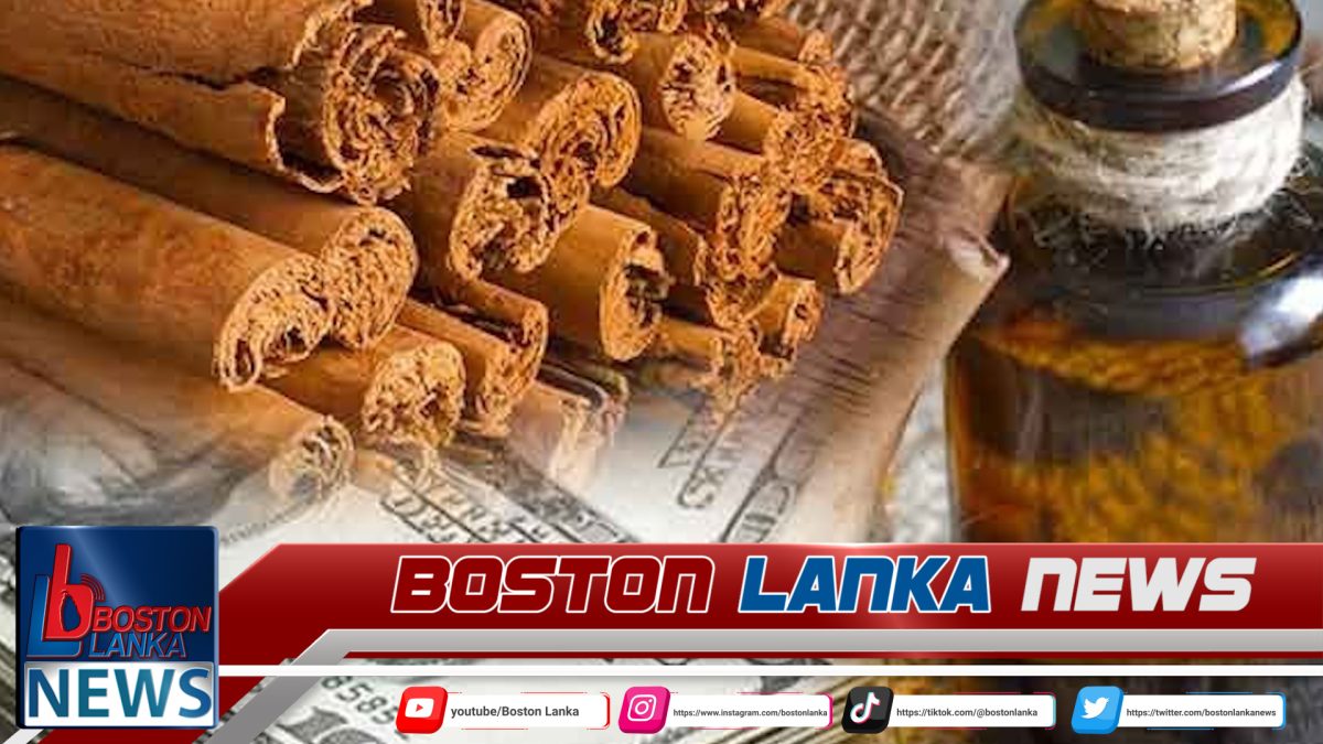 කුරුඳු අපනයනයෙන් රු. කෝටි 8,000කට ආසන්න ආදායමක්…..