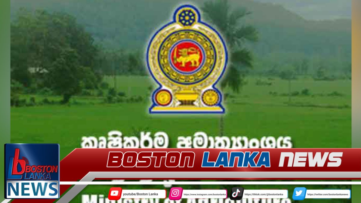 දේශපාලන බලපෑම් ගැන රාජ්‍ය නිලධාරීන් කණ්ඩායමක් කළකිරීමෙන්…..