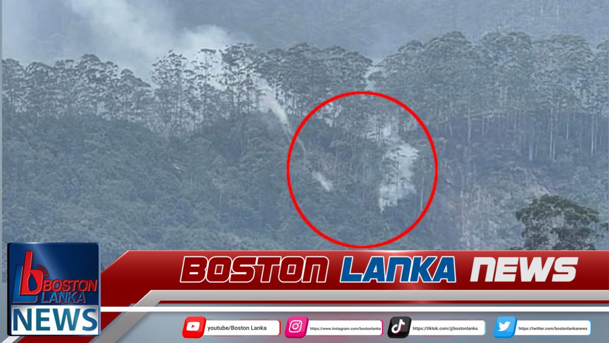 ශ්‍රීපාද රක්ෂිතයේ ගින්නක් – පරිසර පද්ධතියට සහ ජීවීන්ට දැඩි තර්ජන….