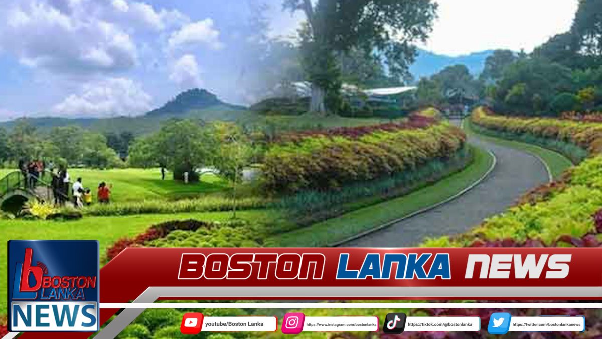 පසුගිය වසරේත් උද්භිද උද්‍යාන ආදායම රුපියල් බිලියනය ඉක්මවයි….