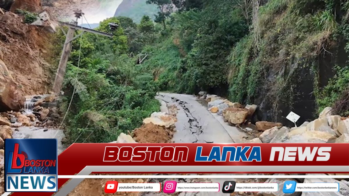 අරණායක තවත් බිහිසුණු අවදානමක් – කාපට් මාර්ගය දෙකට කැඩෙයි….