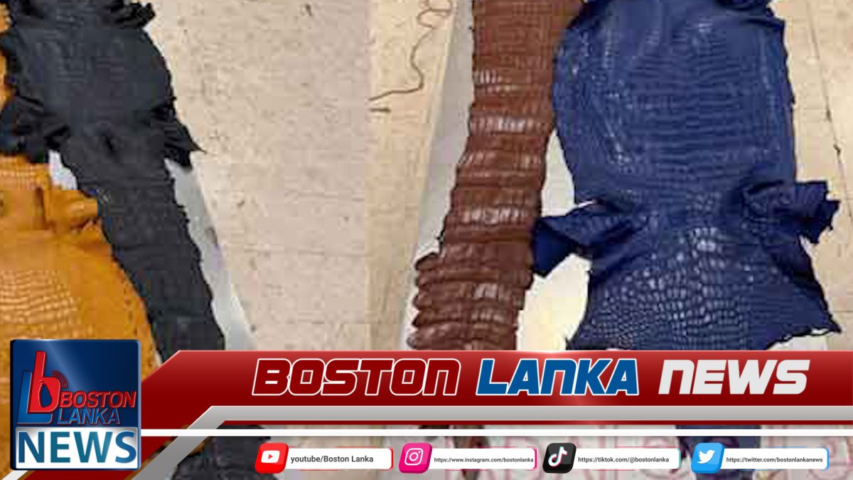 වර්ණ ගැන්වූ සත්ත්ව හම් තොගයක් කටුනායකදී අත්අඩංගුවට…..