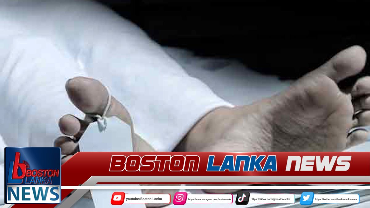 වනඅලි පහරදීමකින් විදේශිකයෙකු ජීවිතක්ෂයට…..