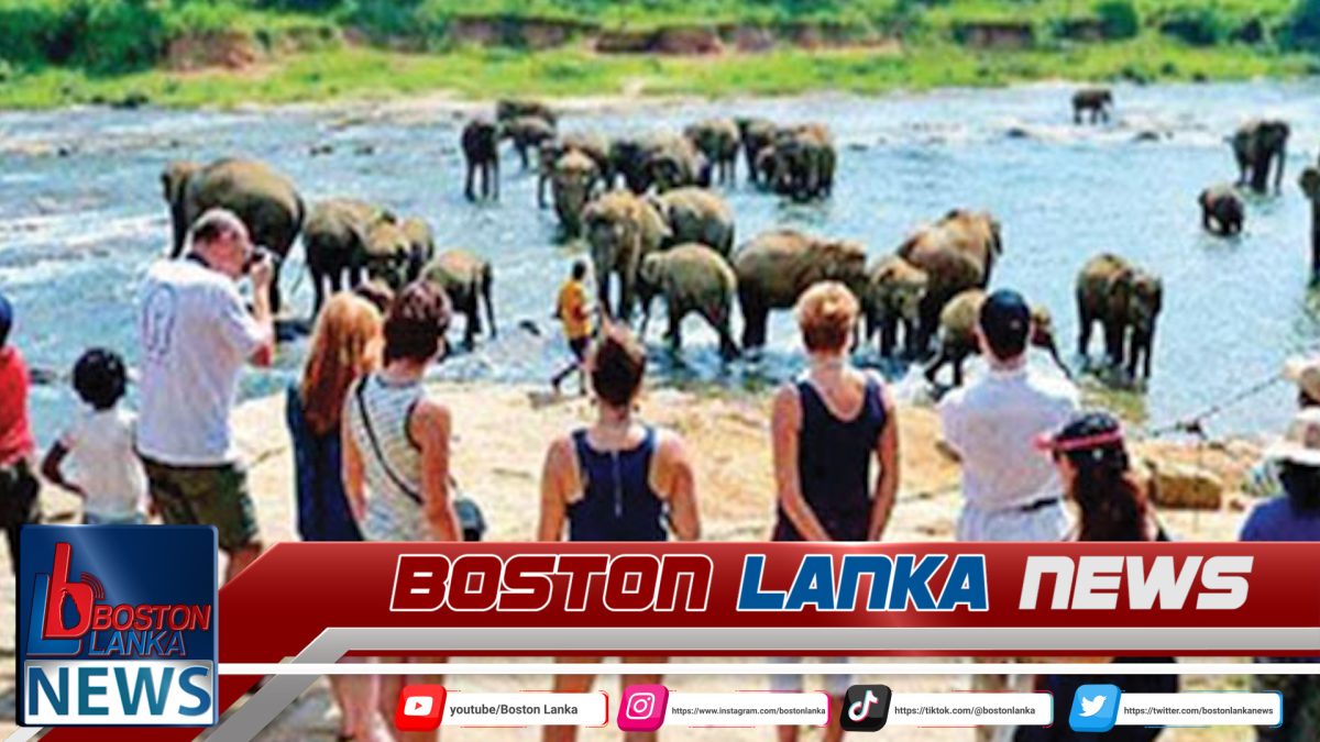 මාර්තු ගෙවුණු දින 29ට සංචාරකයින් 175,661ක් මෙරටට ඇවිත්….