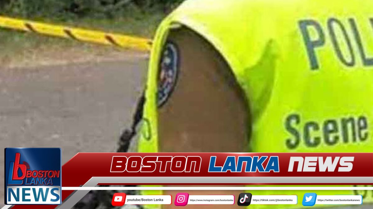 යාල වනෝද්‍යානයේ වනජීවි මුරපොළක් ආසන්නයේ වෙඩිතැබීමක්…