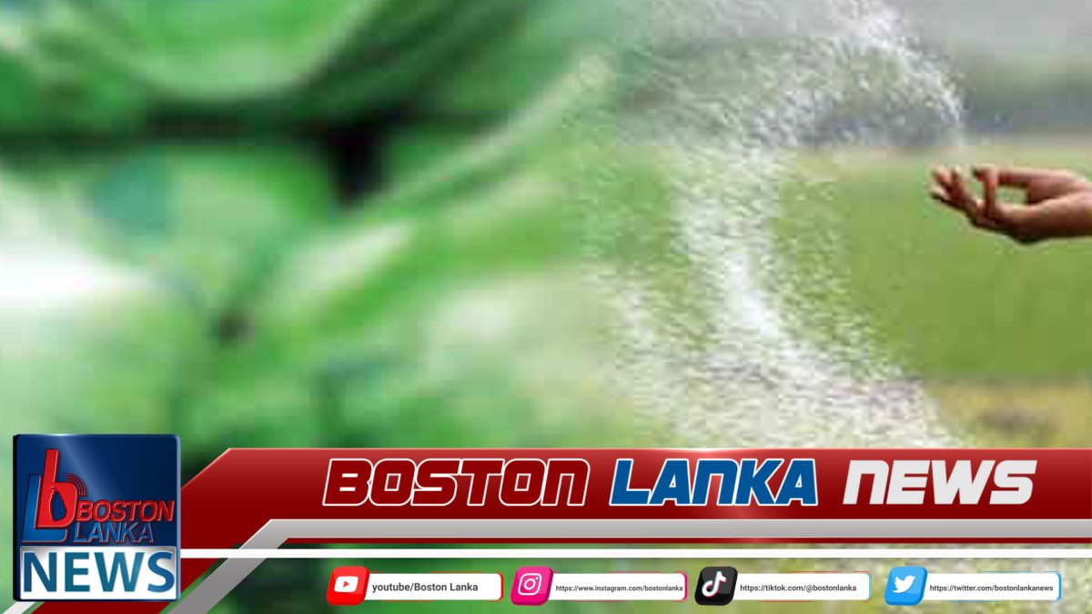 ටොන් 25,000ක පොහොර නැවක් හෙට දිවයිනට….