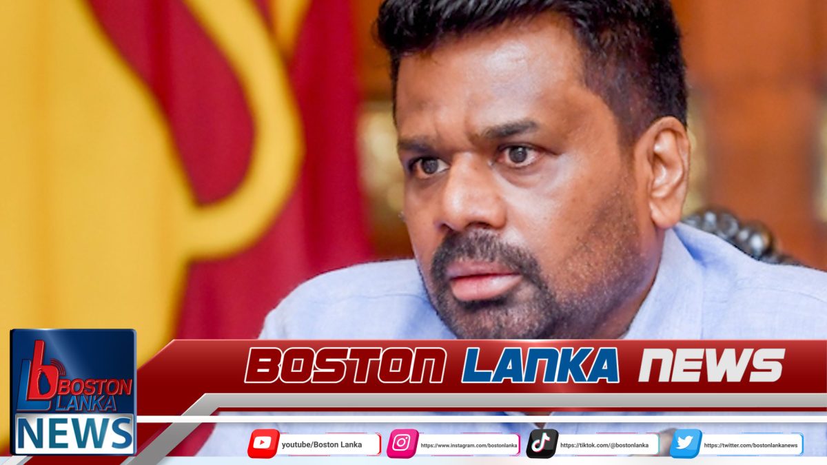 ලබන වසර මුලදී විදුලි දුම්රිය ව්‍යාපෘති ආරම්භ කිරීමට සැලසුම්…..
