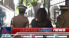 News Iamges.00_00_00_00.Still2347