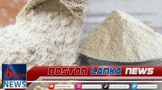 News Iamges.00_00_00_00.Still2375