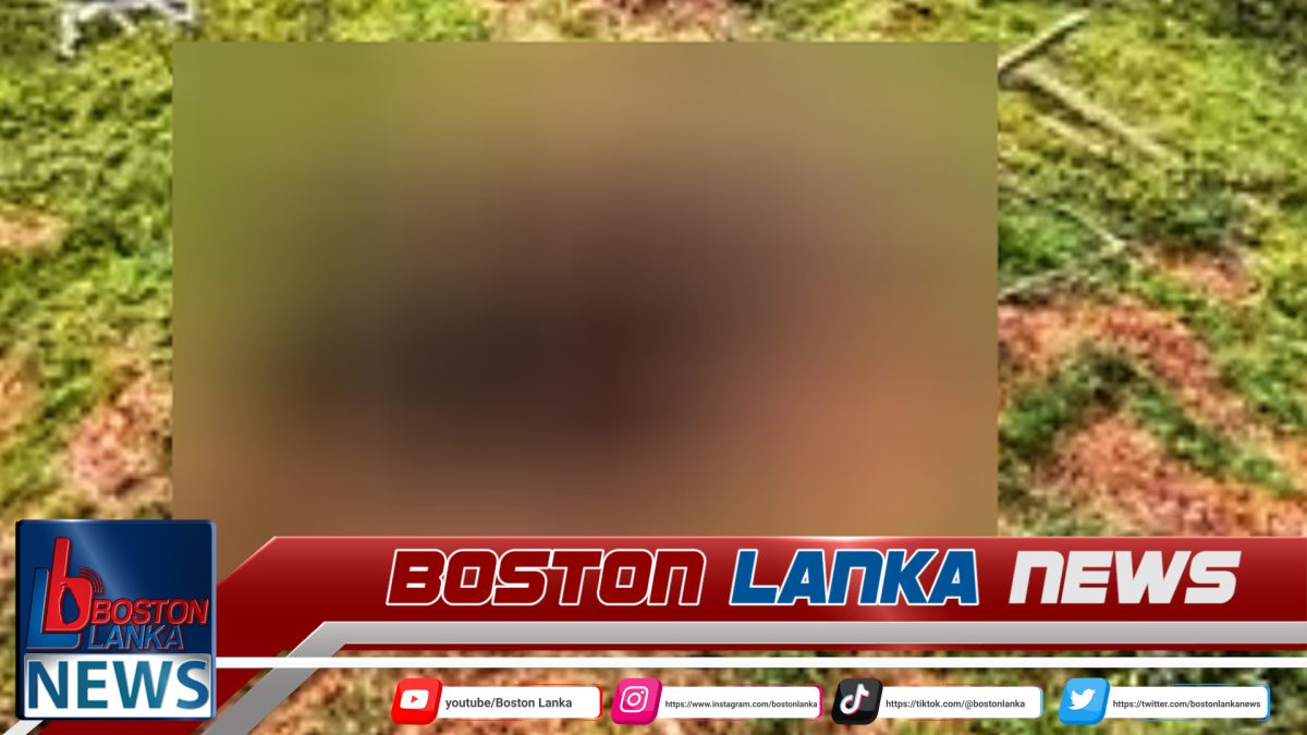 මිහිදන් කළ මෘතදේහයක හිස කොටස අතුරුදන්…