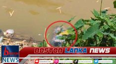 News Iamges.00_00_00_05.Still2149