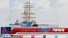 News Iamges.00_00_00_05.Still2194